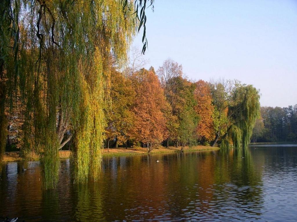 Comfortbiznes Pruszkow Luaran gambar