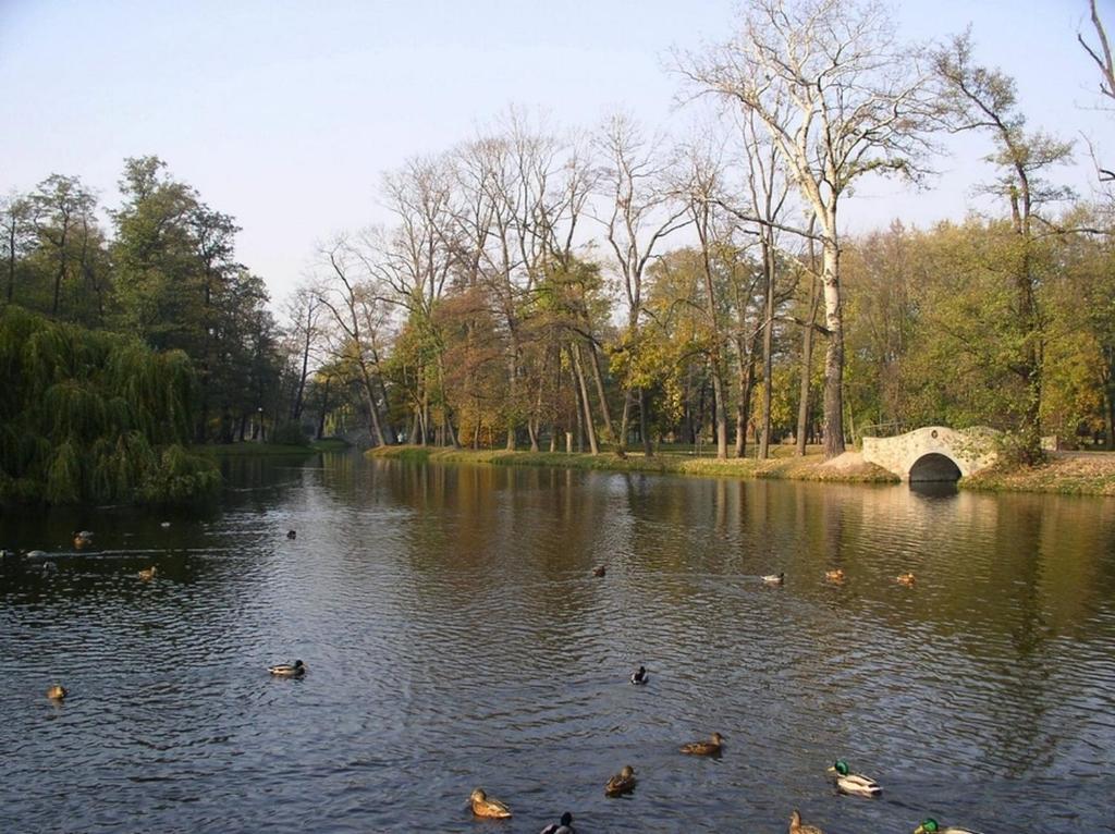 Comfortbiznes Pruszkow Luaran gambar